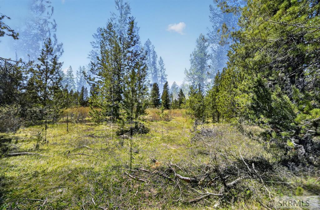 4047 Kickapoo Circle Island Park, ID 83429 - Photo 6 of 35