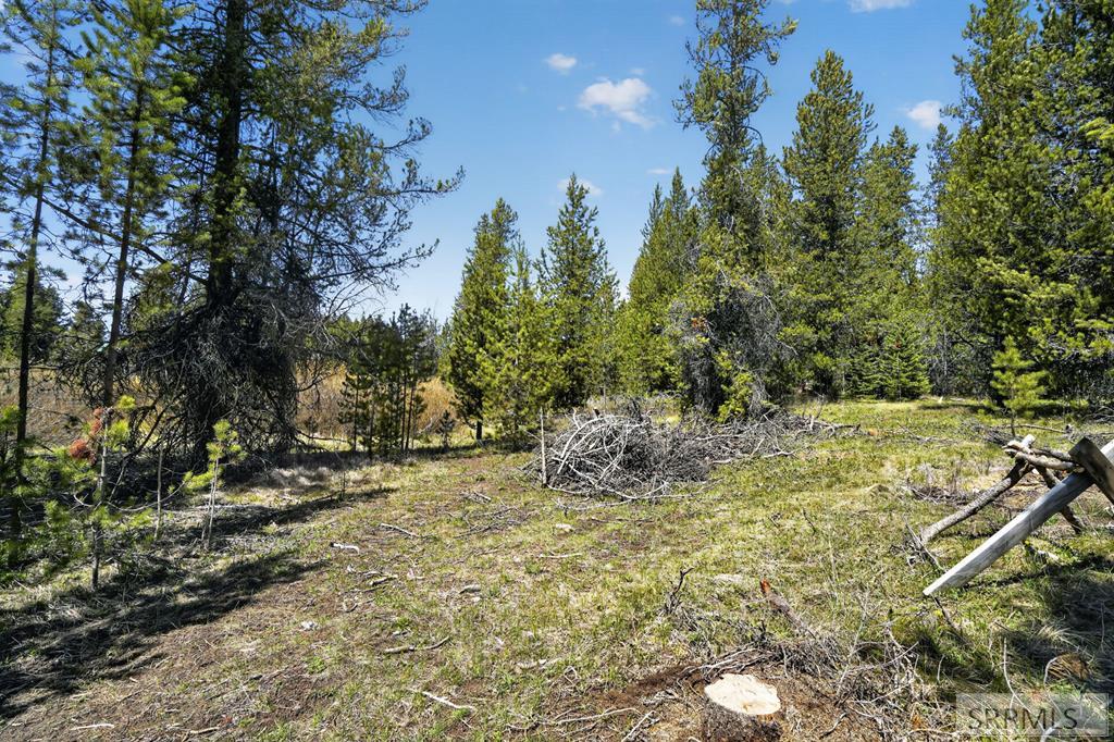 4047 Kickapoo Circle Island Park, ID 83429 - Photo 7 of 35