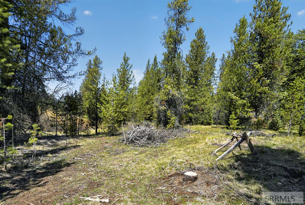 4047 Kickapoo Circle Island Park, ID 83429 - Photo 8 of 35