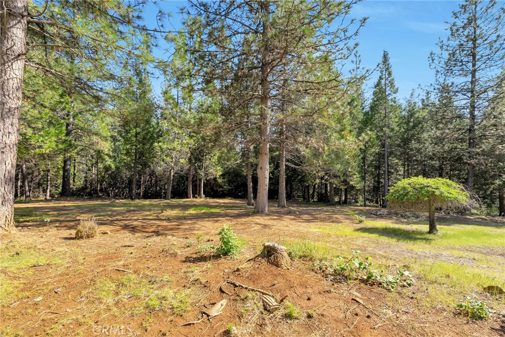 5424 Cabernet Way Forest Ranch, CA 95942 - Photo 57 of 74