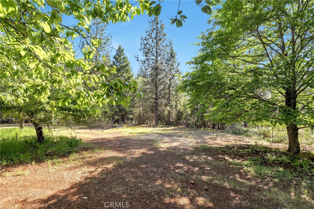 5424 Cabernet Way Forest Ranch, CA 95942 - Photo 59 of 74