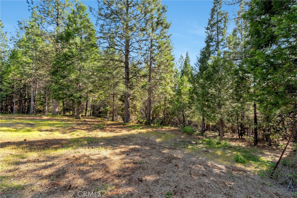 5424 Cabernet Way Forest Ranch, CA 95942 - Photo 63 of 74