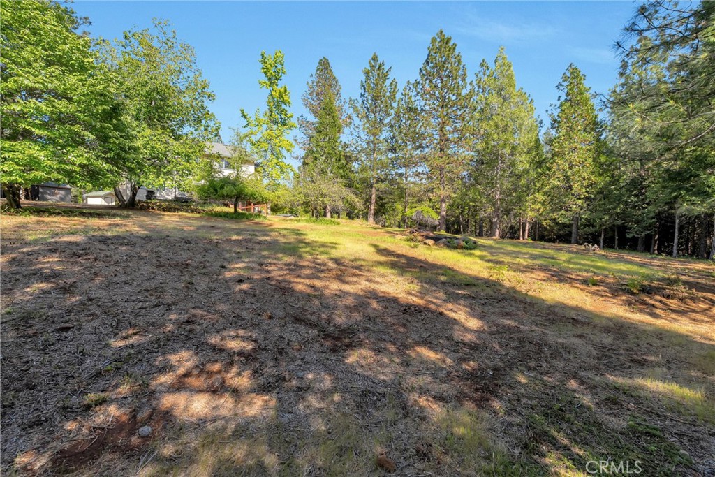 5424 Cabernet Way Forest Ranch, CA 95942 - Photo 64 of 74