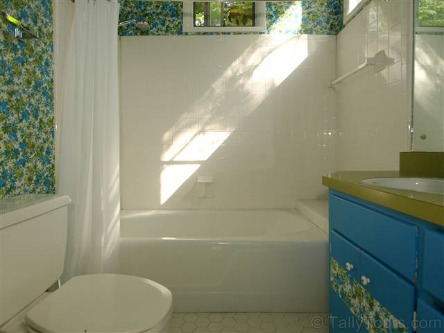 1009 Waverly Road Tallahassee, FL 32312 - Photo 9 of 24 Gallery Image 9