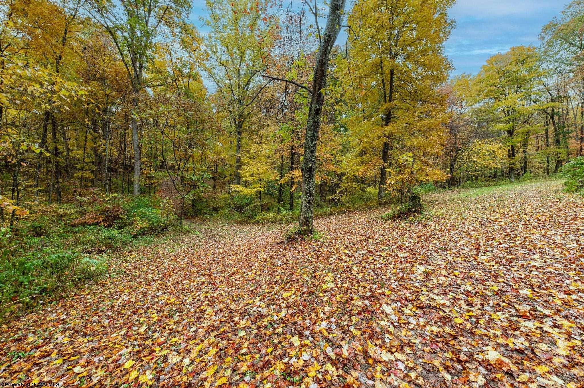 1160 Indian Rock Road Reedsville, WV 26547 - Photo 17 of 23 Gallery Image 17