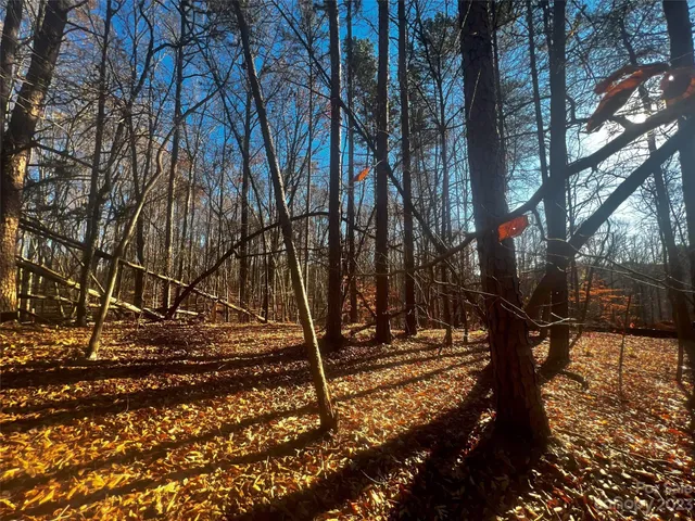 a view of outdoor space with trees
