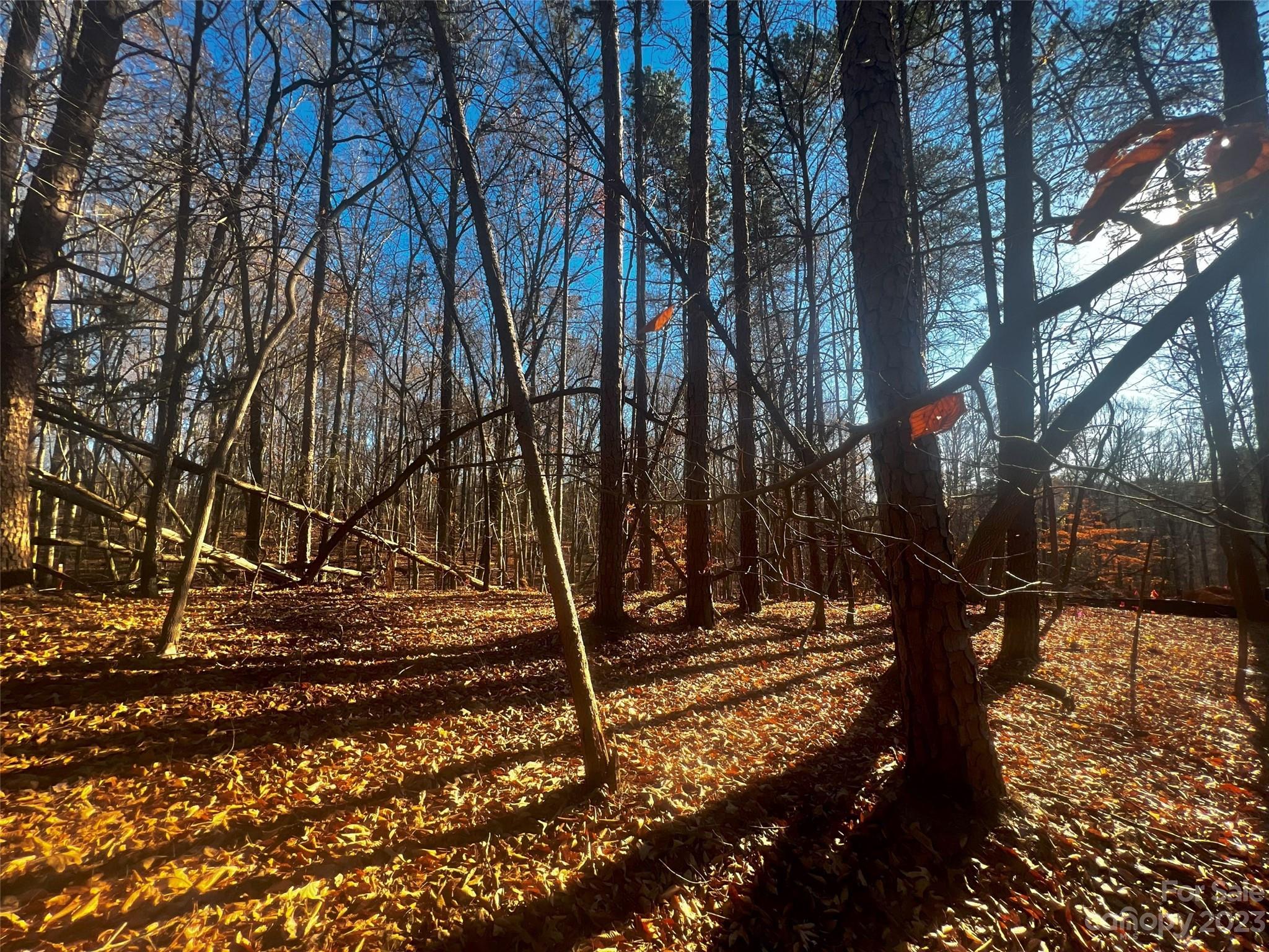 a view of outdoor space with trees