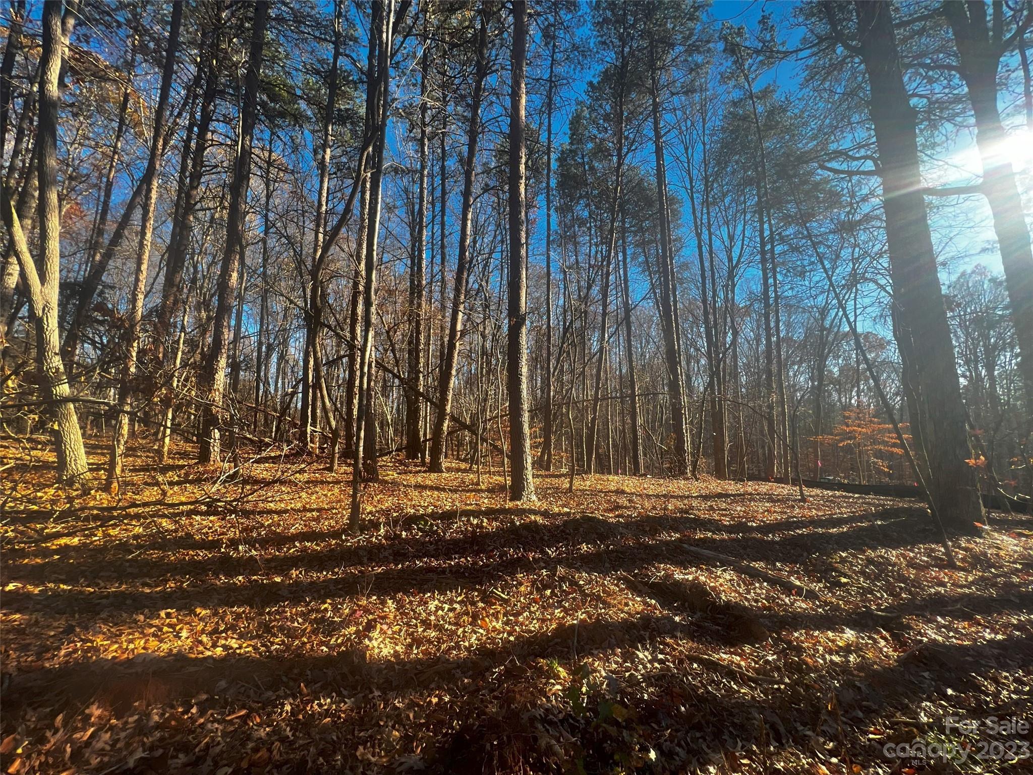 147 Copper Pne Lane, Unit 9 Davidson, NC 28036 - Photo 2 of 22 a backyard of a house with lots of green space and outdoor seating