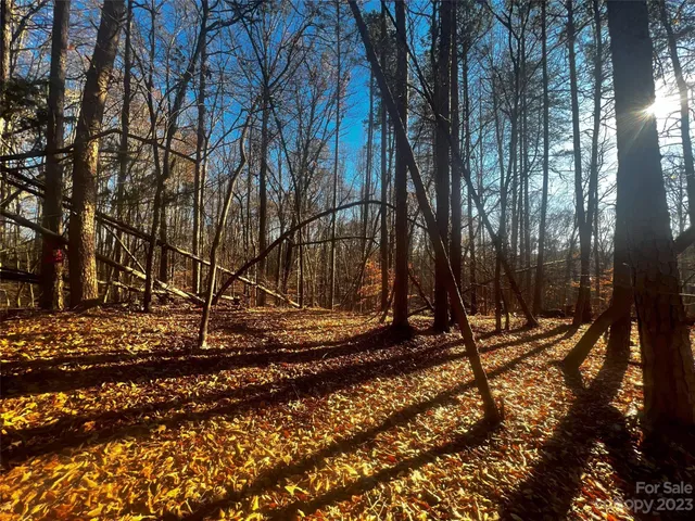 a view of a backyard with large trees