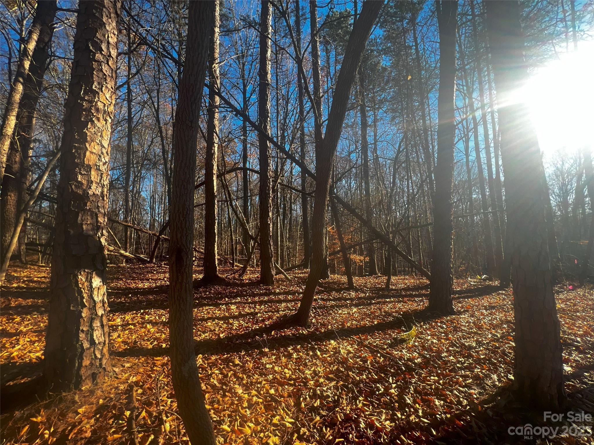 147 Copper Pne Lane, Unit 9 Davidson, NC 28036 - Photo 5 of 22 a view of a house with a yard