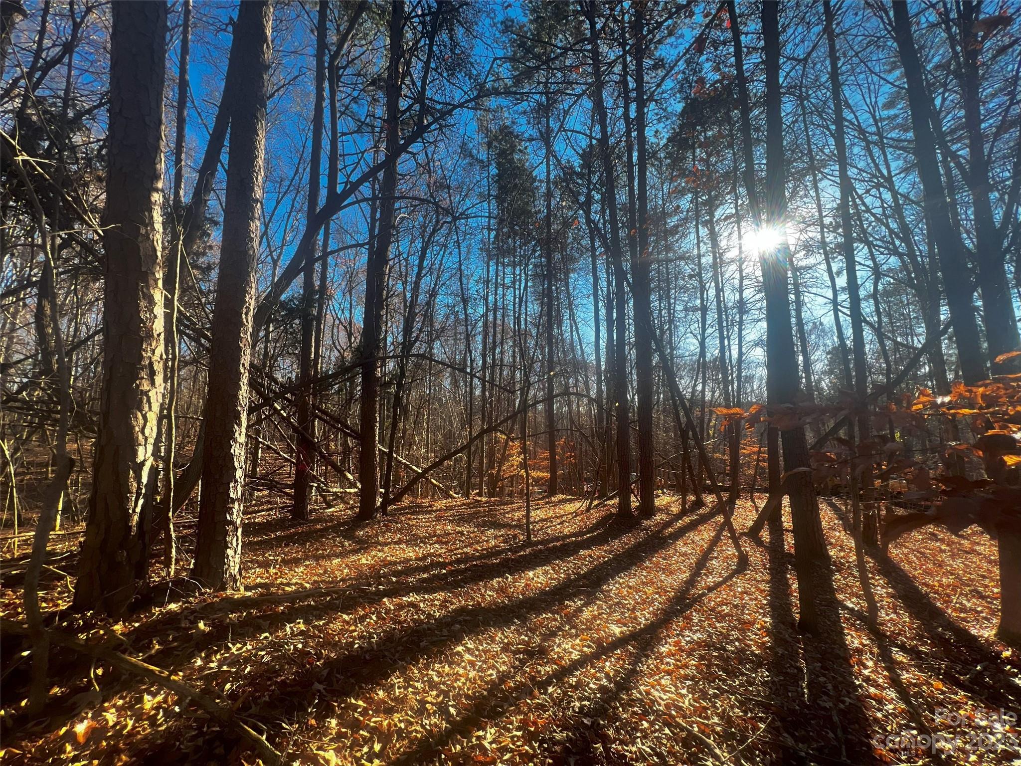 147 Copper Pne Lane, Unit 9 Davidson, NC 28036 - Photo 6 of 22 a view of a backyard of a house