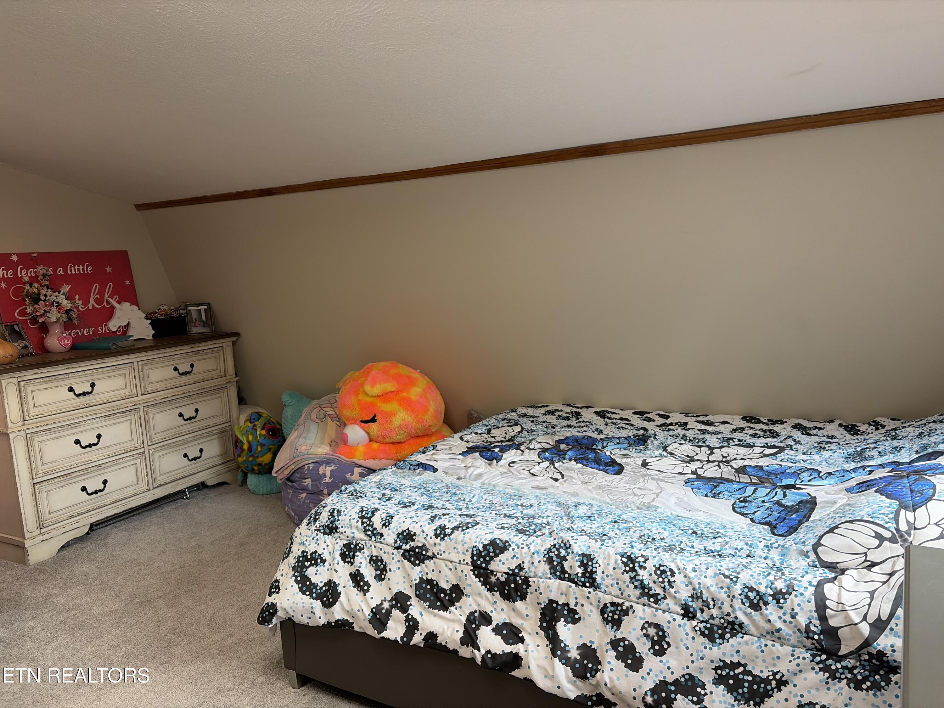237 Foster Road Heiskell, TN 37754 - Photo 27 of 44 IMG_1510
