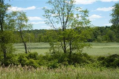 115 Maple Lane Rives Junction, MI 49277 - Photo 1 of 6 Primary Photo
