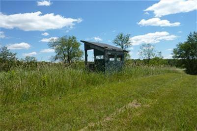 115 Maple Lane Rives Junction, MI 49277 - Photo 3 of 6 Additional Photo