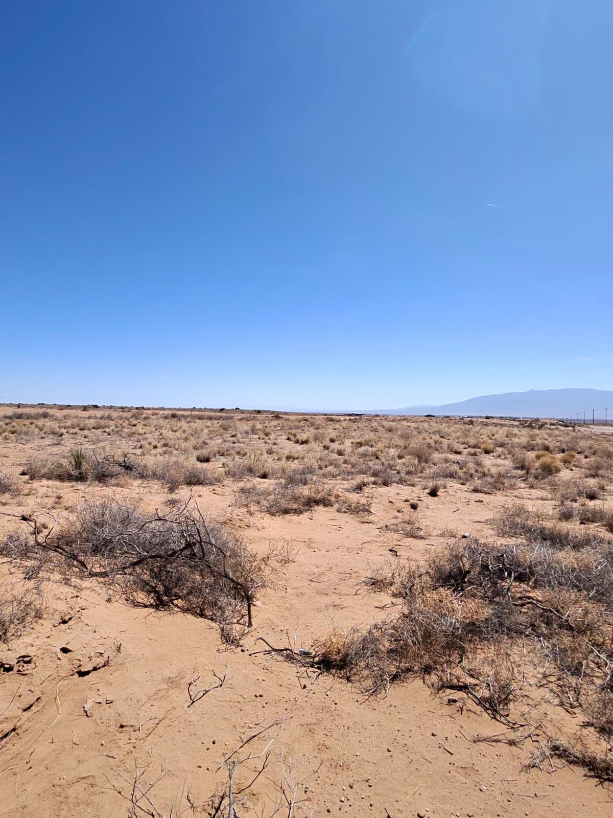 1002 38th Street Southwest Rio Rancho, NM 87124 - Photo 3 of 11