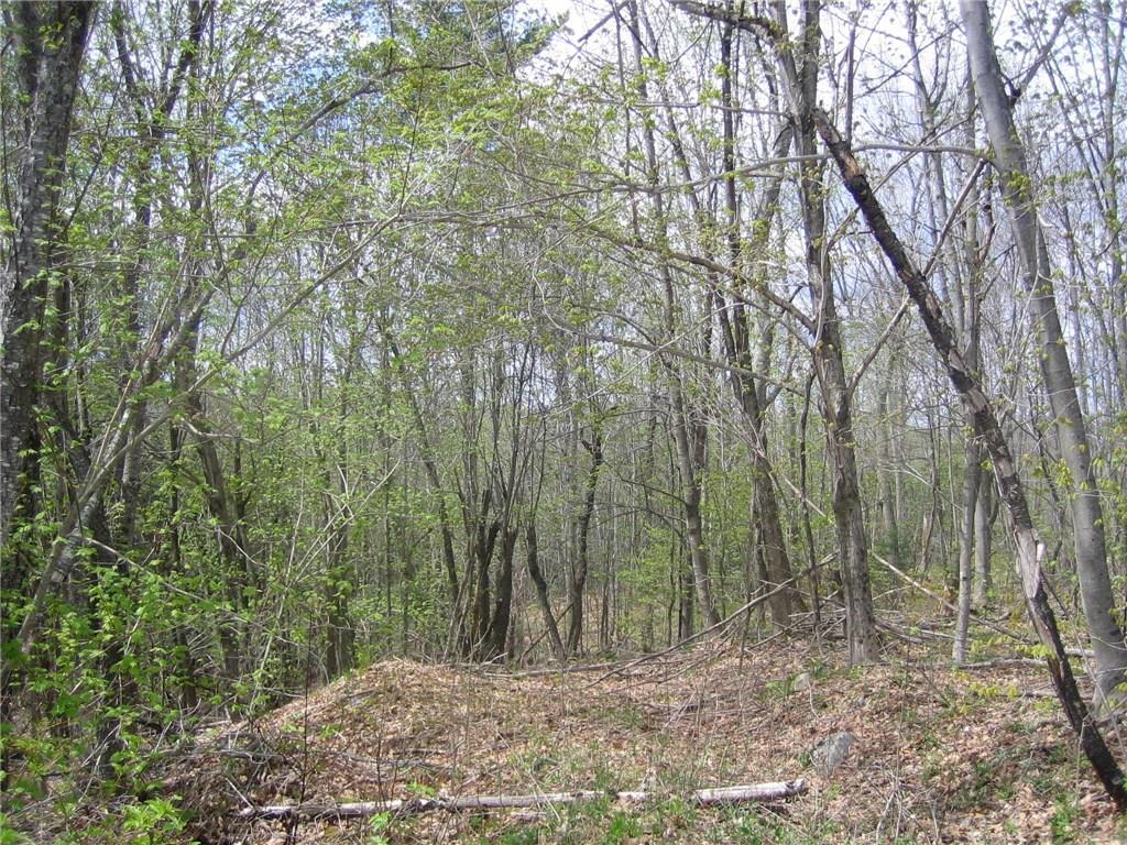 Lot 7 Bowden Point Road Prospect, ME 04981 - Photo 4 of 6 Photo