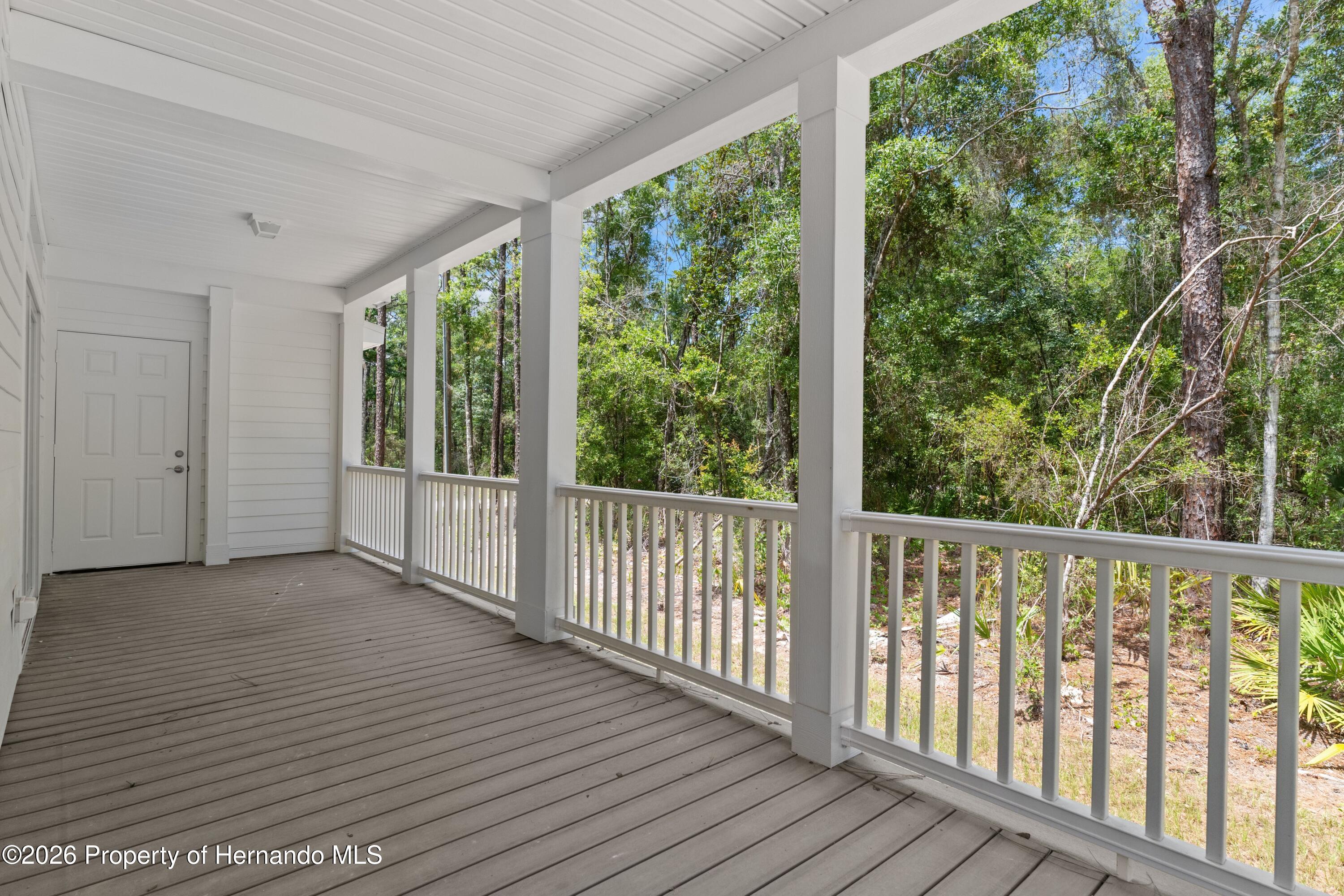 14249 Razorbill Avenue Weeki Wachee, FL 34614 - Photo 32 of 40