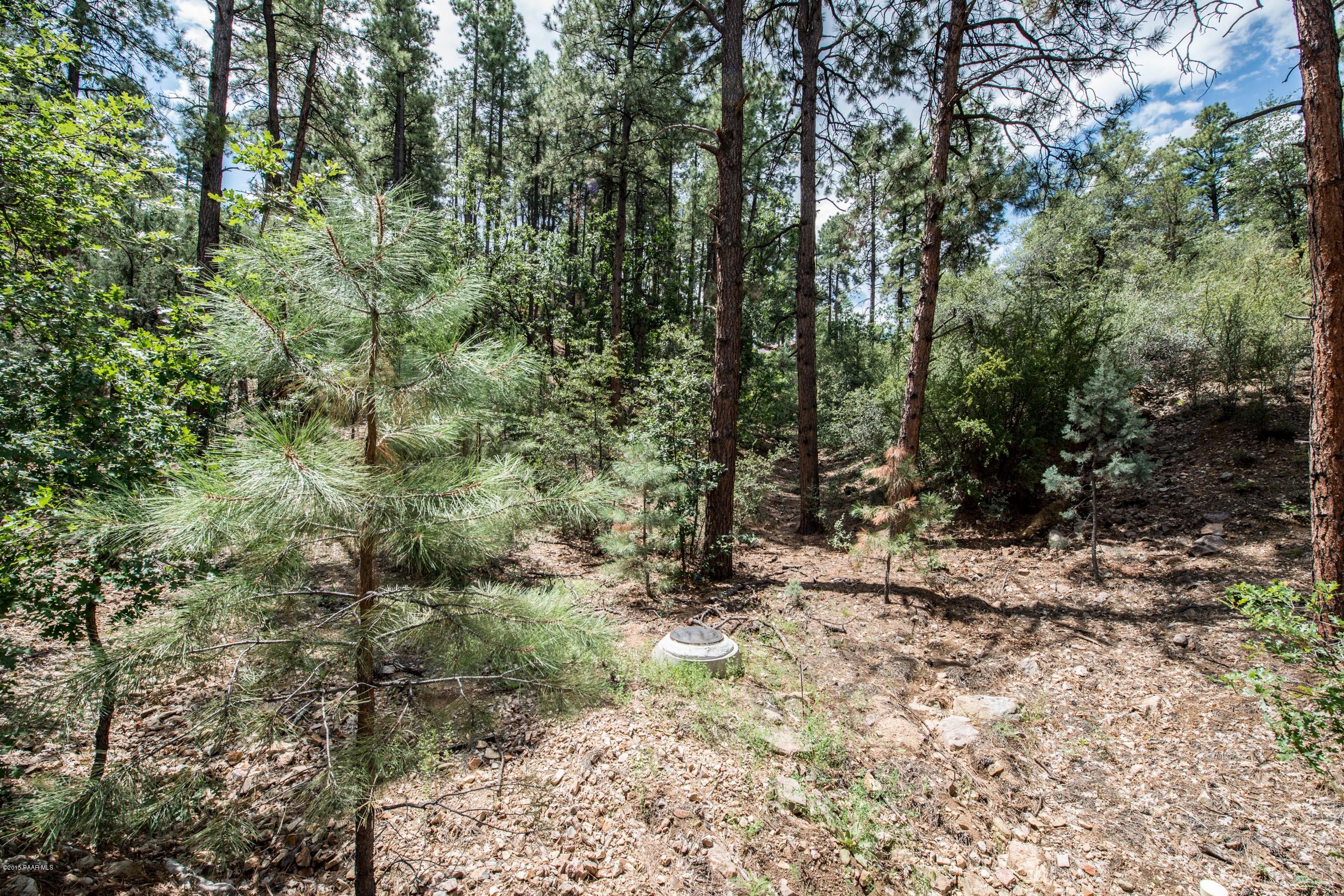 1439 East Valley View Road Prescott, AZ 86303 - Photo 1 of 14 a view of a forest with trees in the background