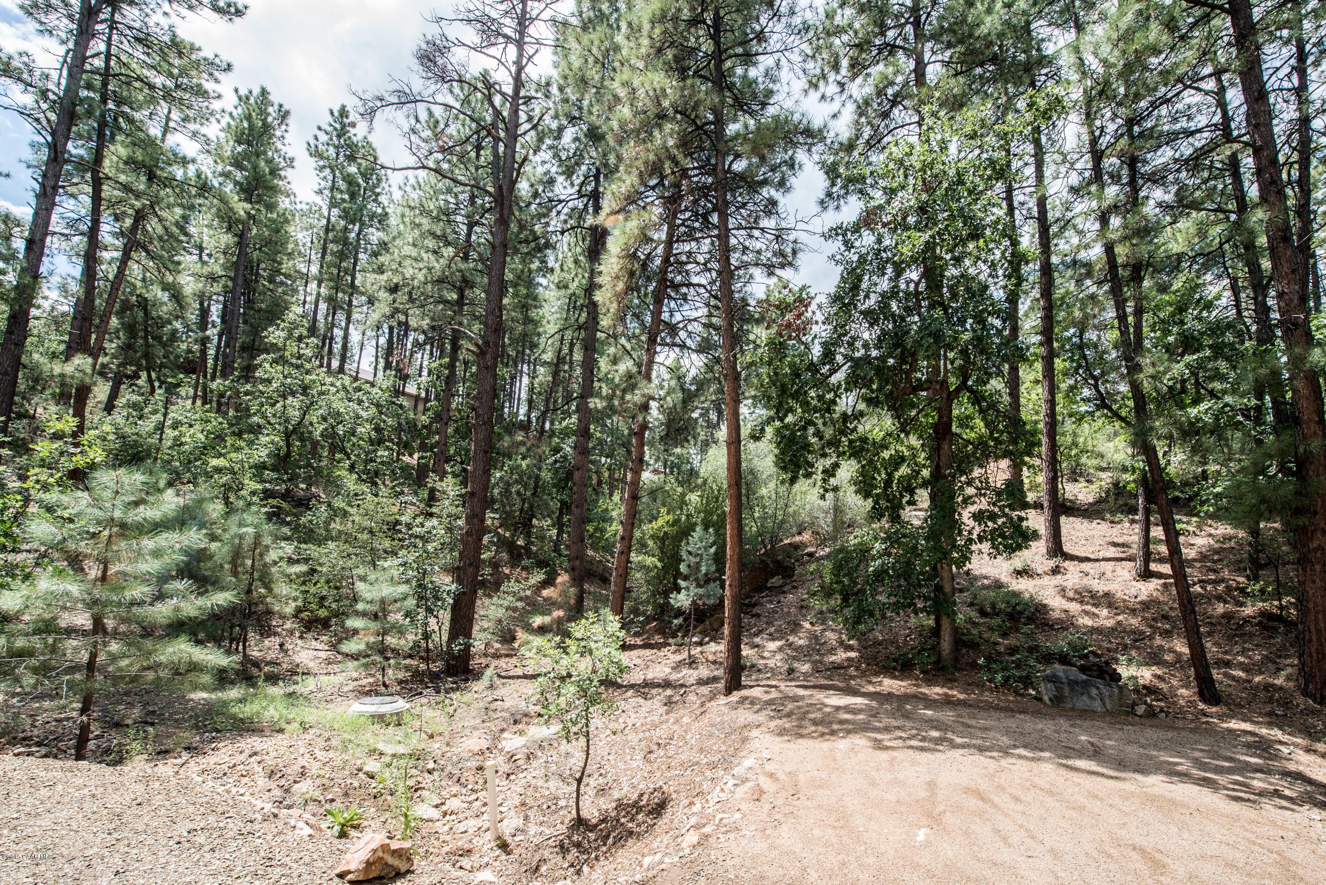1439 East Valley View Road Prescott, AZ 86303 - Photo 11 of 14 a view of a forest with trees in the background