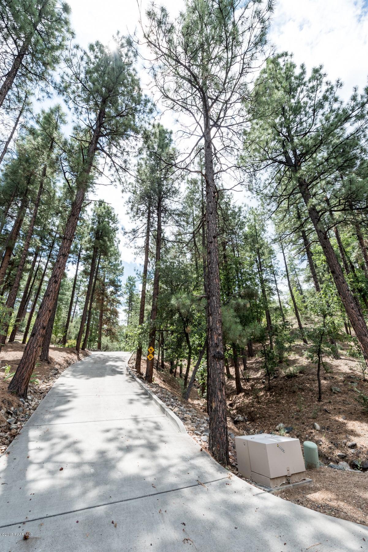 1439 East Valley View Road Prescott, AZ 86303 - Photo 4 of 14 a view of outdoor space with trees