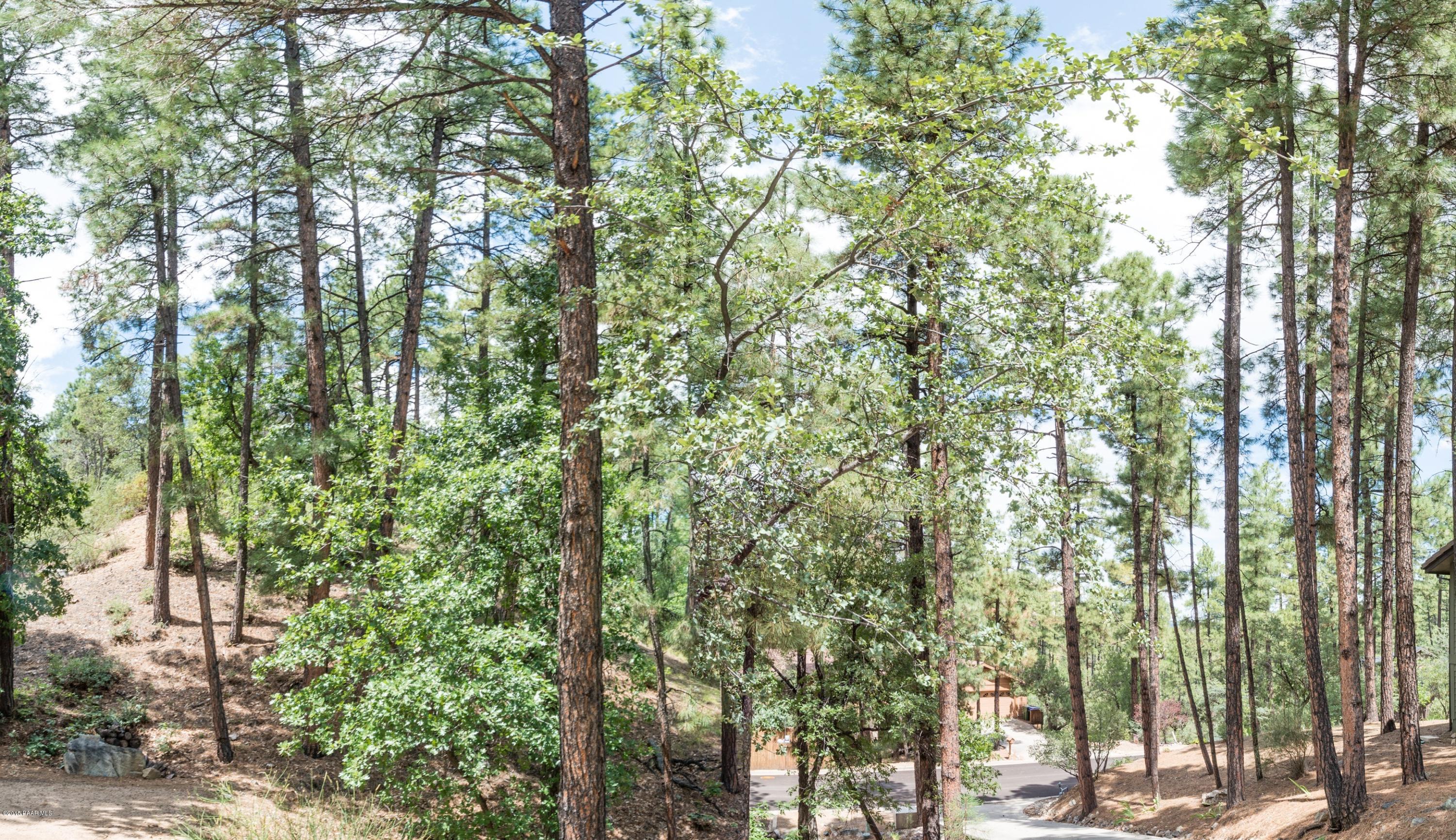 1439 East Valley View Road Prescott, AZ 86303 - Photo 7 of 14 a view of forest