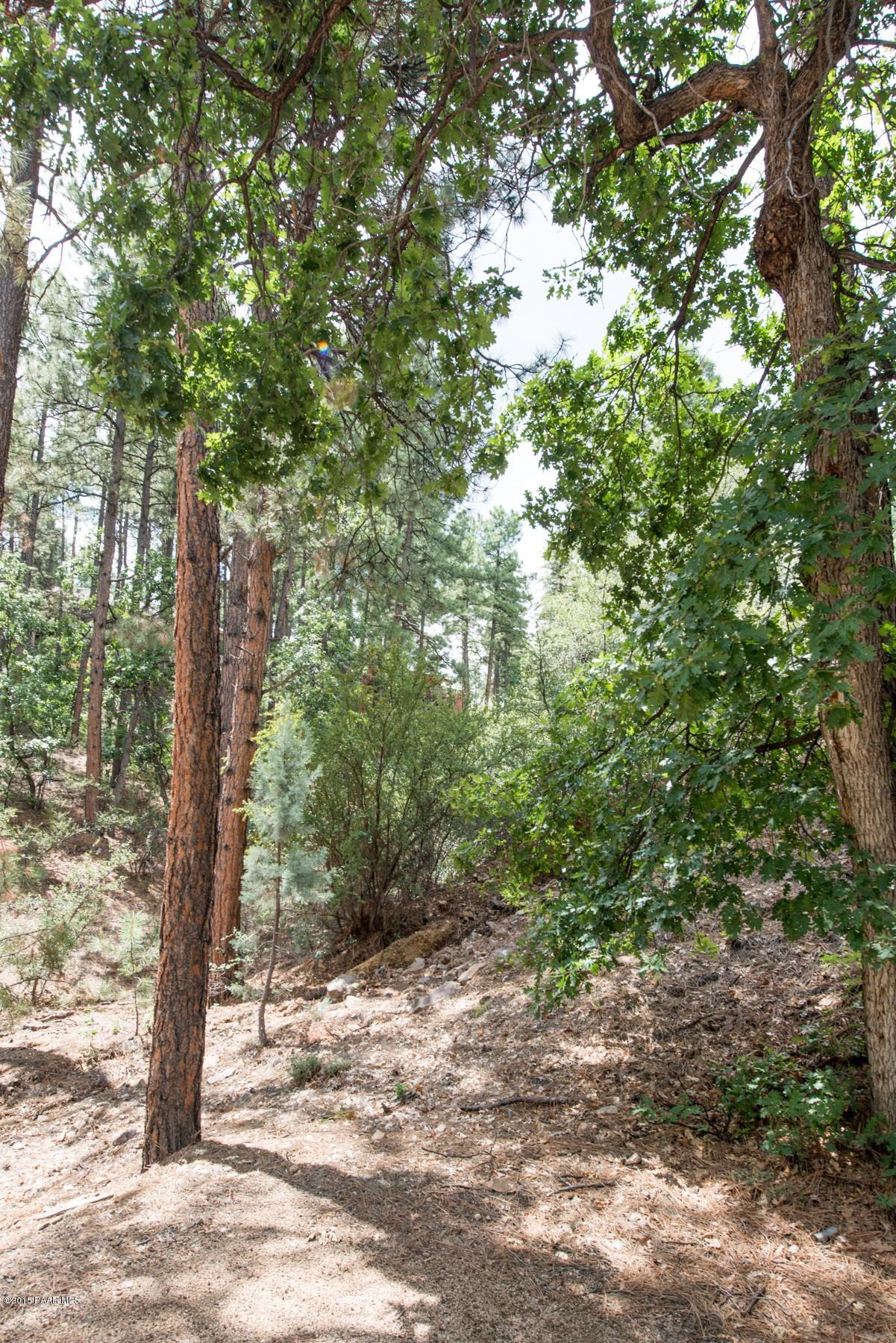 1439 East Valley View Road Prescott, AZ 86303 - Photo 8 of 14 a view of a forest filled with trees