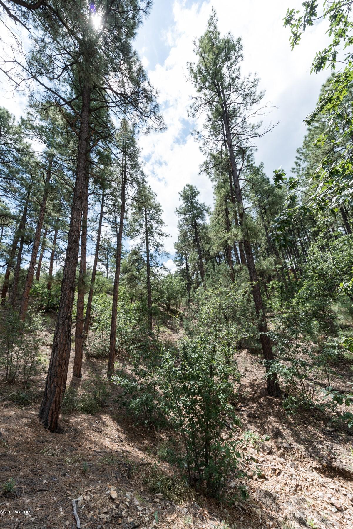 1439 East Valley View Road Prescott, AZ 86303 - Photo 9 of 14 a view of a forest with trees in the background