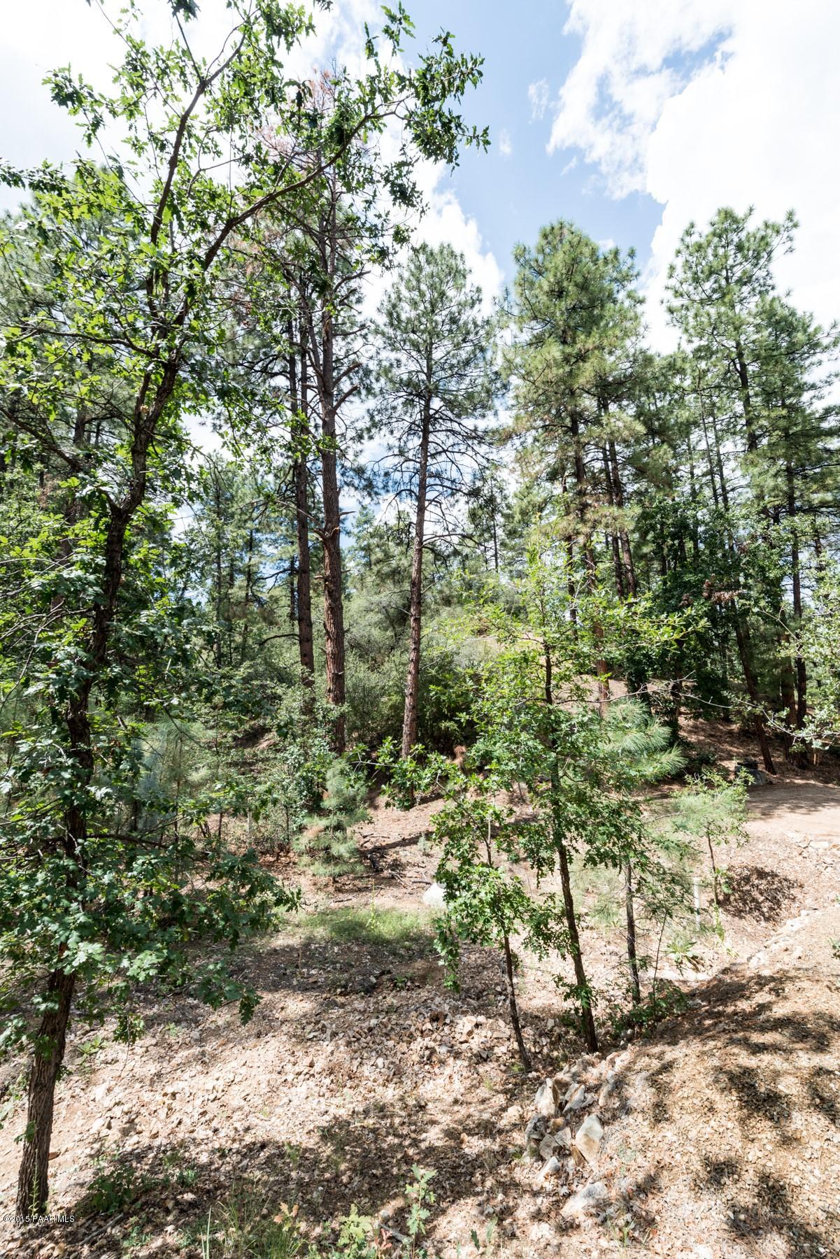 1439 East Valley View Road Prescott, AZ 86303 - Photo 10 of 14 a view of outdoor space with lots of trees
