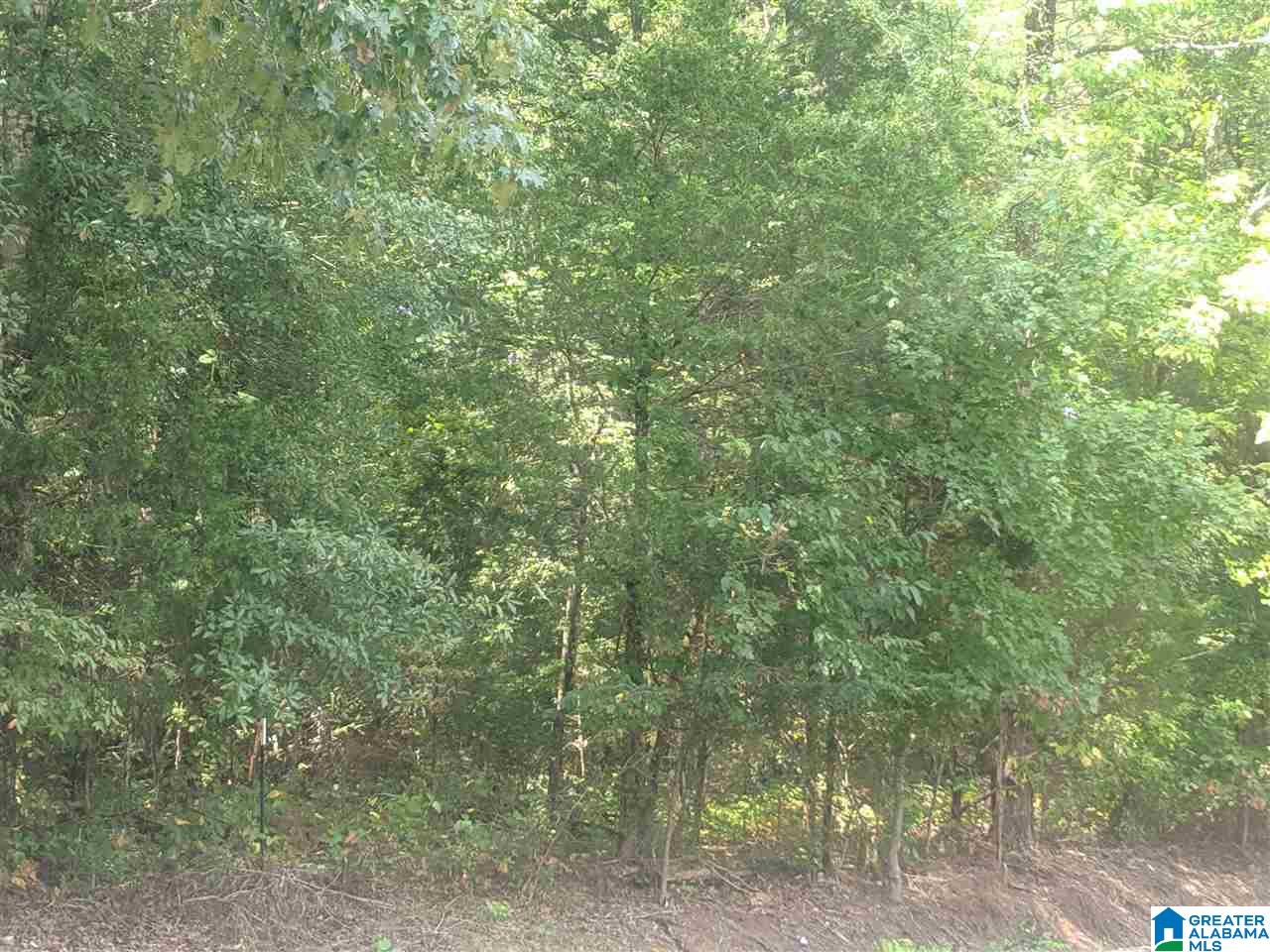 0 Old Broadwell Mill Road Jacksonville, AL 36265 - Photo 7 of 22