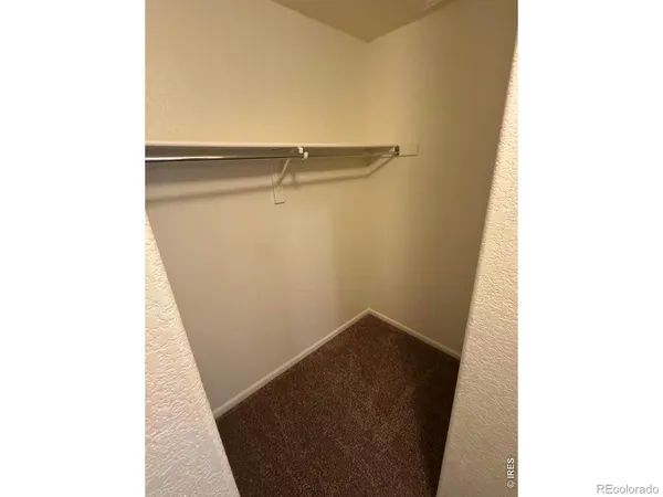 a view of walk in closet with rug