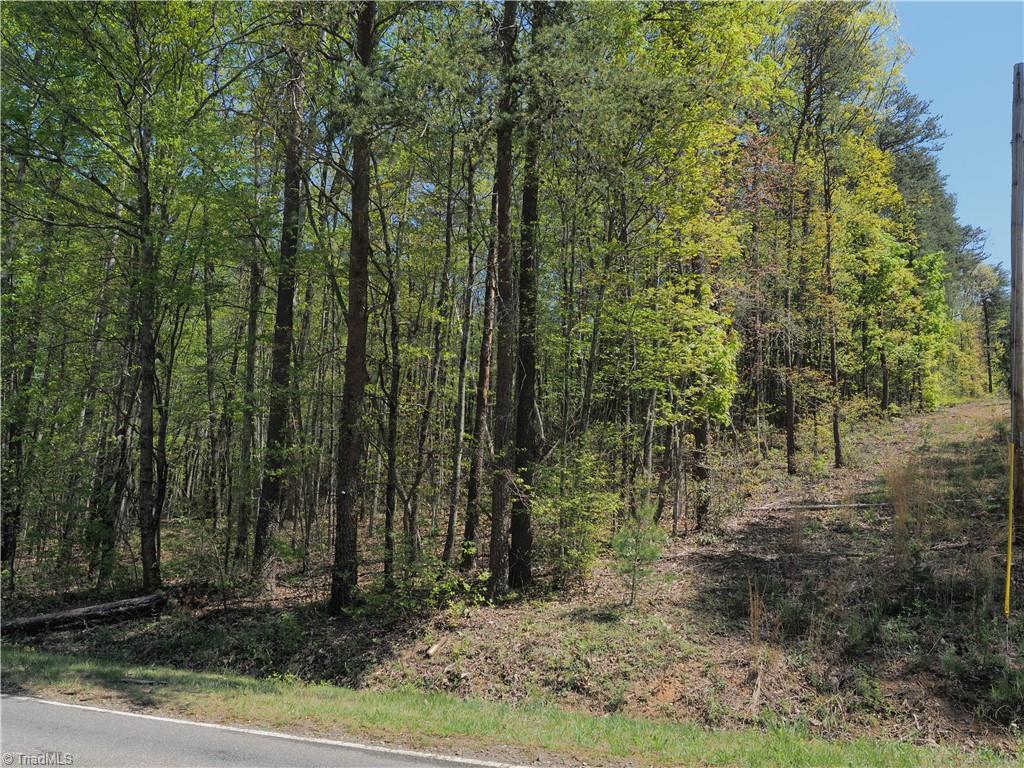 15.5-ac Simpson Mill Road Mount Airy, NC 27030 - Photo 2 of 11 Gallery Image 2