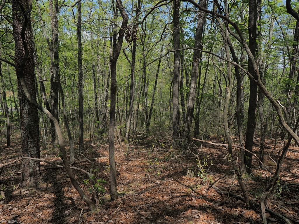 15.5-ac Simpson Mill Road Mount Airy, NC 27030 - Photo 11 of 11 Gallery Image 11