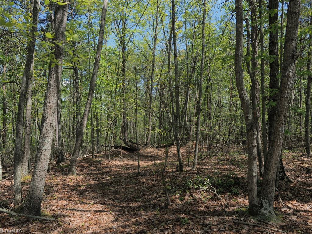 15.5-ac Simpson Mill Road Mount Airy, NC 27030 - Photo 3 of 11 Gallery Image 3