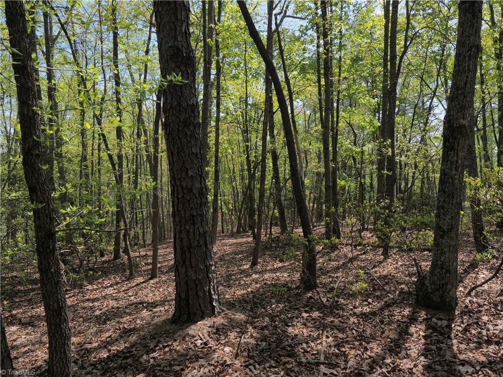 15.5-ac Simpson Mill Road Mount Airy, NC 27030 - Photo 4 of 11 Gallery Image 4
