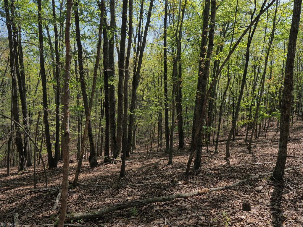 15.5-ac Simpson Mill Road Mount Airy, NC 27030 - Photo 5 of 11 Gallery Image 5