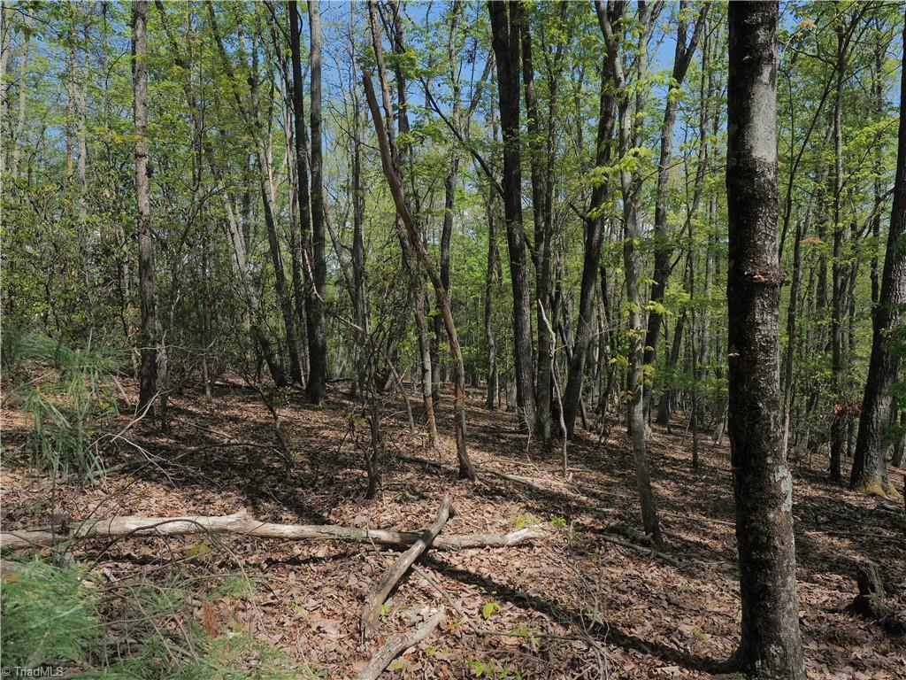 15.5-ac Simpson Mill Road Mount Airy, NC 27030 - Photo 6 of 11 Gallery Image 6