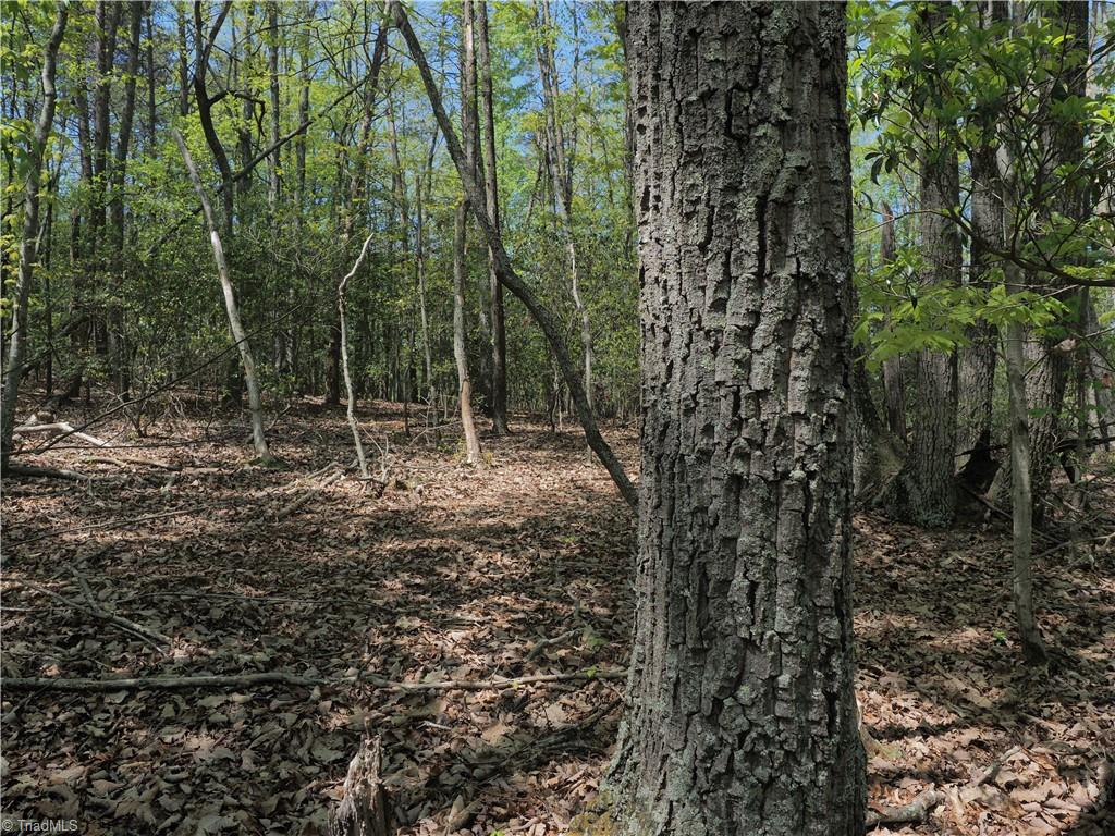 15.5-ac Simpson Mill Road Mount Airy, NC 27030 - Photo 7 of 11 Gallery Image 7