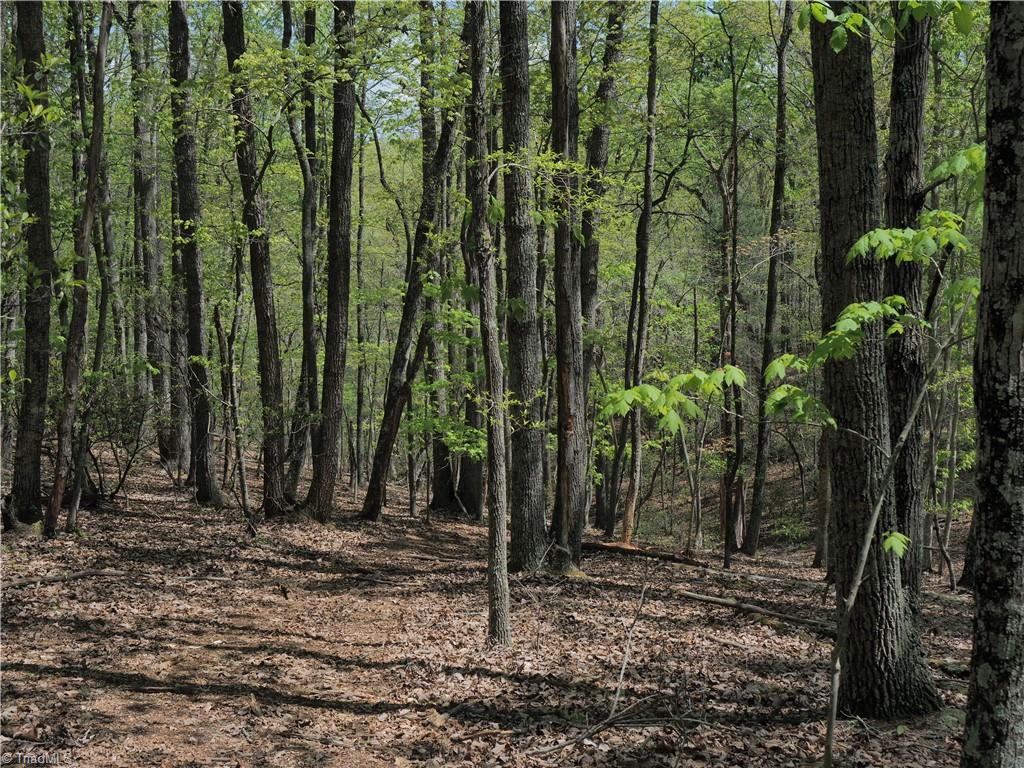 15.5-ac Simpson Mill Road Mount Airy, NC 27030 - Photo 8 of 11 Gallery Image 8