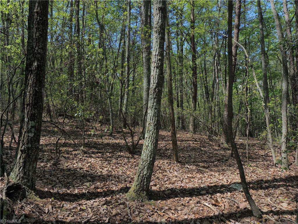 15.5-ac Simpson Mill Road Mount Airy, NC 27030 - Photo 9 of 11 Gallery Image 9