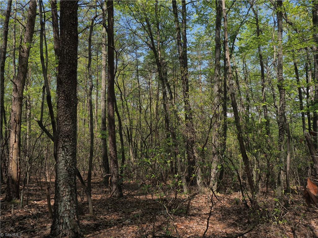 15.5-ac Simpson Mill Road Mount Airy, NC 27030 - Photo 10 of 11 Gallery Image 10