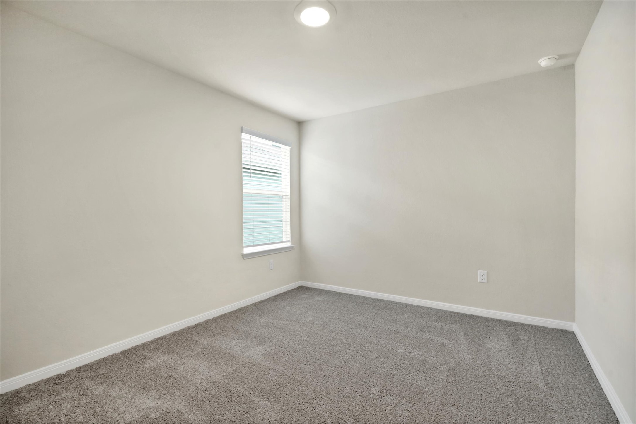 2909 Tweedy Trail Pflugerville, TX 78660 - Photo 9 of 27 A well-lit bedroom featuring soft gray carpeting and a sun-filtering window.