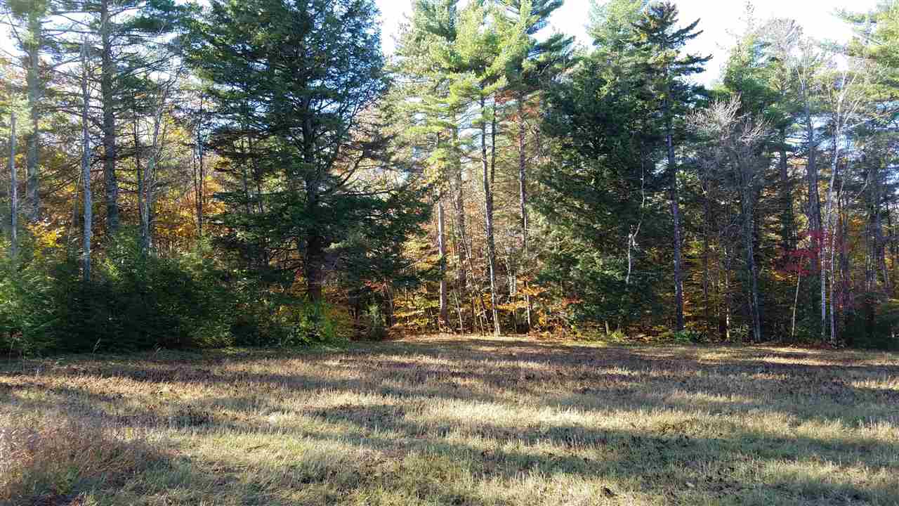 436 Old Greenfield Road Peterborough, NH 03458 - Photo 2 of 12