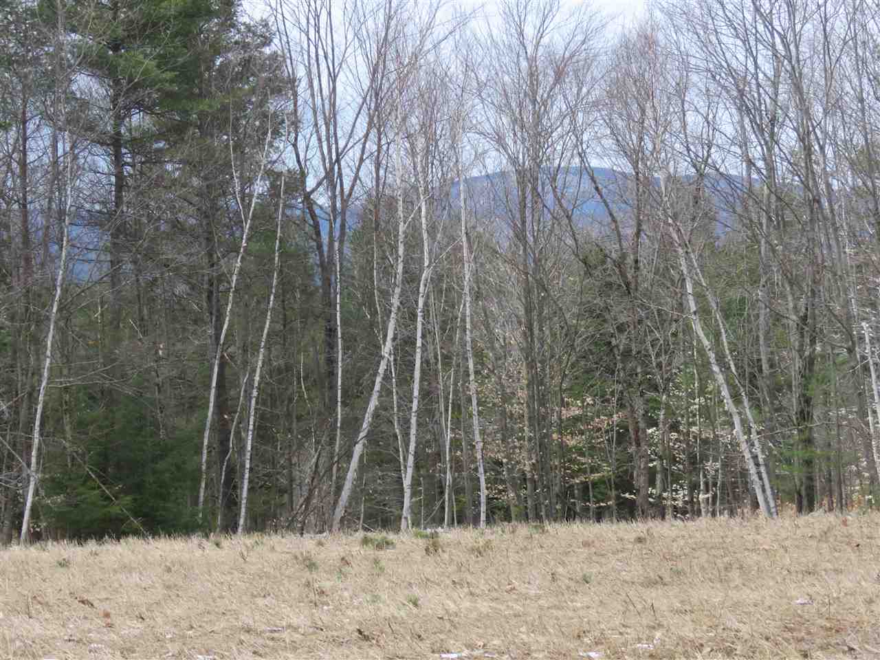 436 Old Greenfield Road Peterborough, NH 03458 - Photo 5 of 12