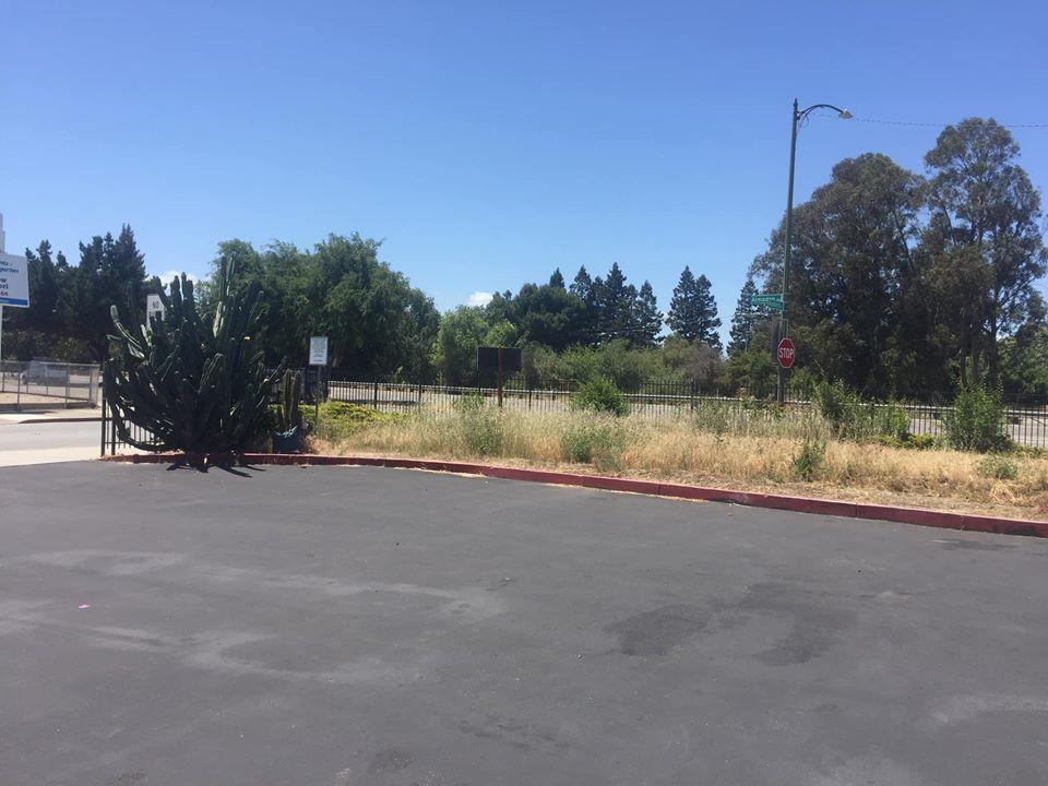 2446 Almaden Road San Jose, CA 95125 - Photo 16 of 17 a view of a lake view