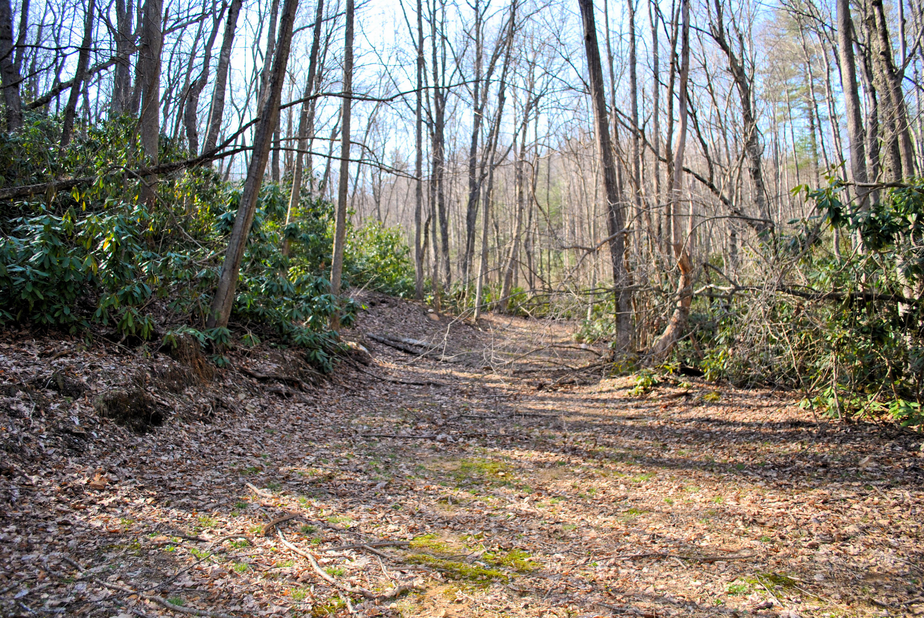 0 Elk Spur Road Fancy Gap, VA 24328 - Photo 20 of 38 DSC_0910