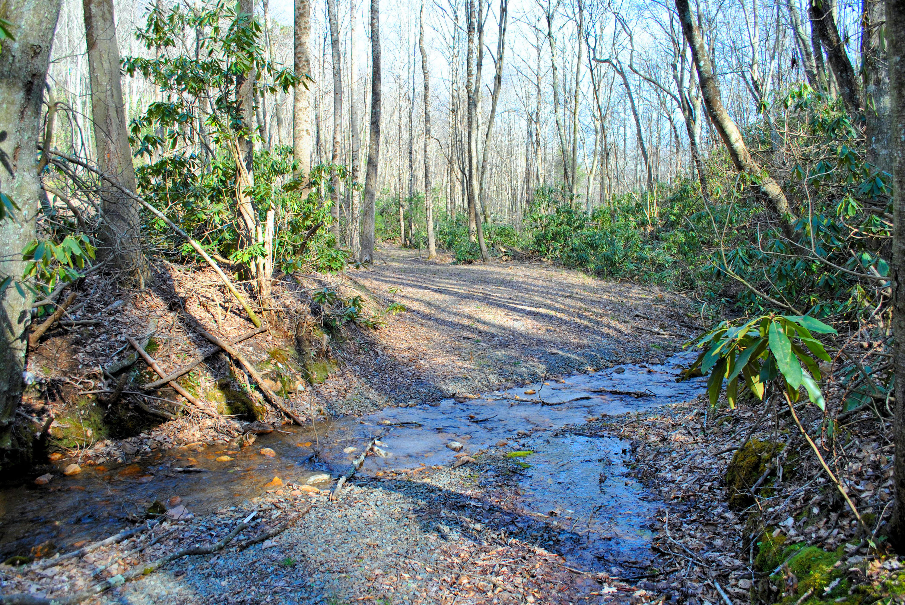 0 Elk Spur Road Fancy Gap, VA 24328 - Photo 21 of 38 DSC_0912