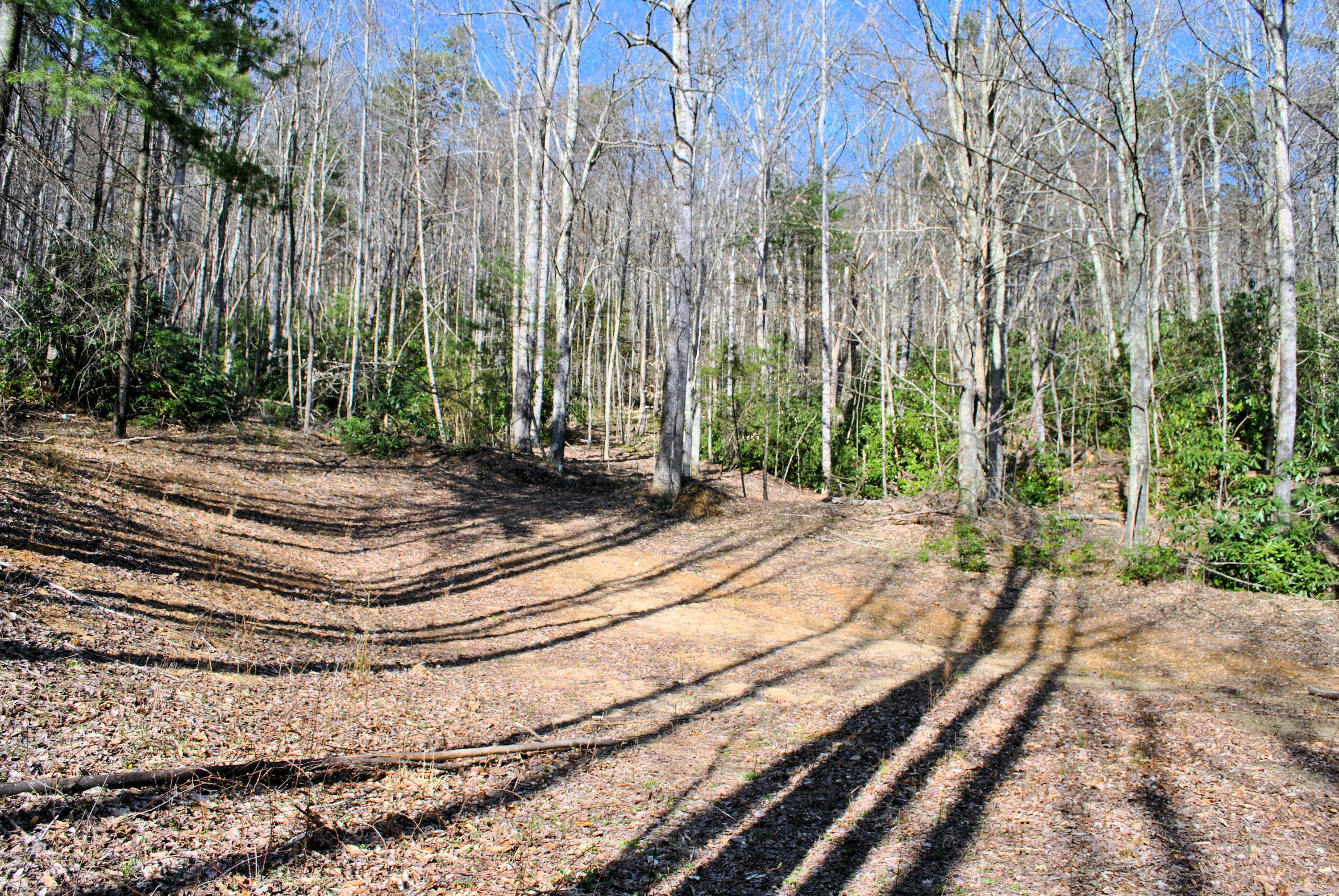 0 Elk Spur Road Fancy Gap, VA 24328 - Photo 25 of 38 DSC_0917