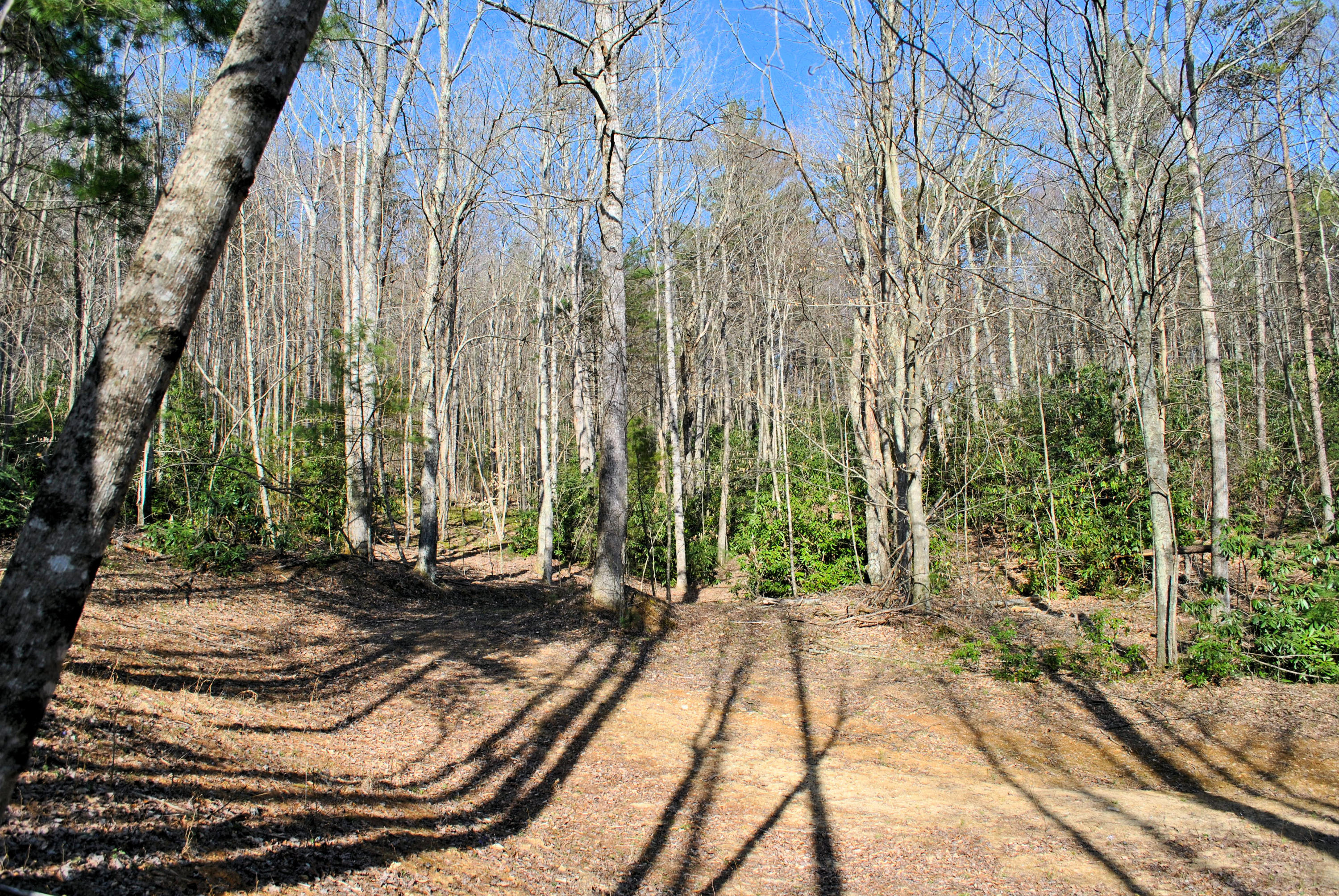 0 Elk Spur Road Fancy Gap, VA 24328 - Photo 27 of 38 DSC_0919