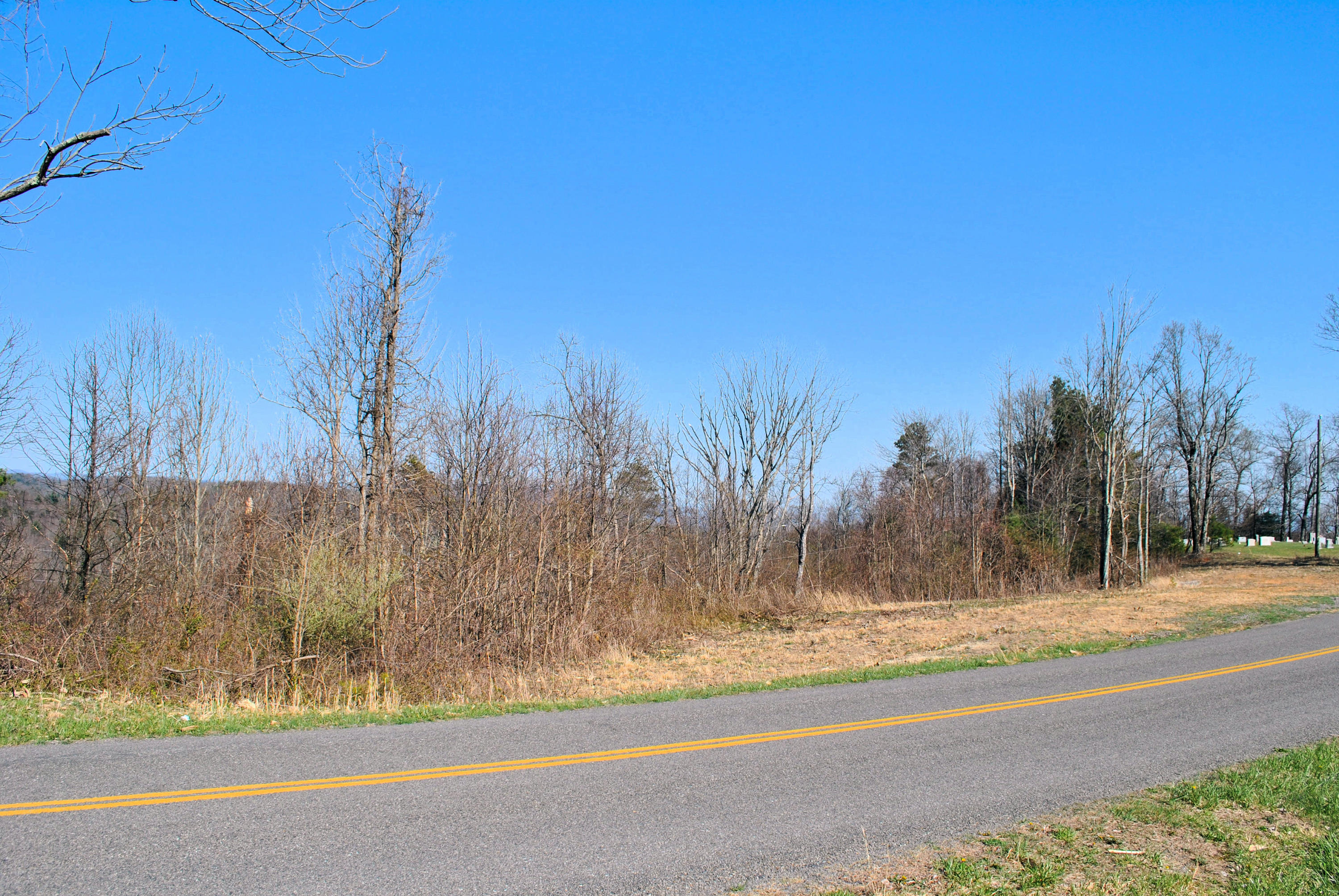 0 Elk Spur Road Fancy Gap, VA 24328 - Photo 5 of 38 DSC_0882