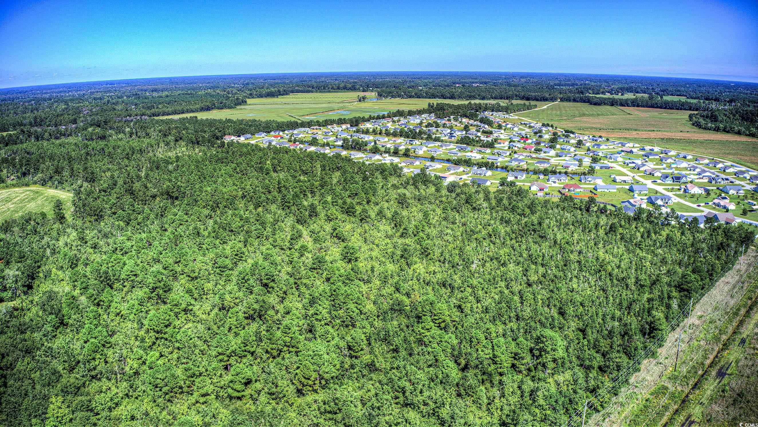 Drone / aerial view of a forest